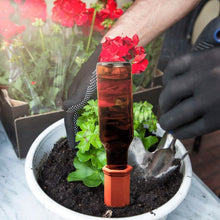 Load image into Gallery viewer, 10-Pack: Spikes Teracotta Plant Watering Device