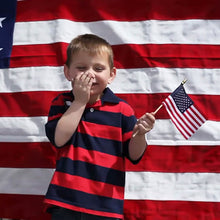 将图片加载到图库查看器,100-Pack: USA 4x6 in Wooden Stick Flag