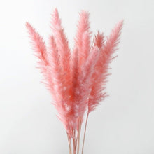 Load image into Gallery viewer, 10PCS Bulrush Natural Dried Flowers Artificial Pampas Grass Decor Phragmites Fake Flower Wedding Home Decoration Floor Vase Filler for Living Room Kitchen Decor