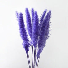 Load image into Gallery viewer, 10PCS Bulrush Natural Dried Flowers Artificial Pampas Grass Decor Phragmites Fake Flower Wedding Home Decoration Floor Vase Filler for Living Room Kitchen Decor