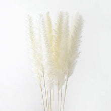 Load image into Gallery viewer, 10PCS Bulrush Natural Dried Flowers Artificial Pampas Grass Decor Phragmites Fake Flower Wedding Home Decoration Floor Vase Filler for Living Room Kitchen Decor