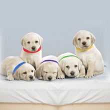 Load image into Gallery viewer, 12-Piece: Whelping ID Collars Color Set