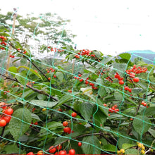 Load image into Gallery viewer, 13 x 33 Ft. Garden Net