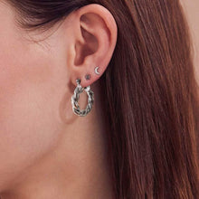 Load image into Gallery viewer, 14K Gold Plated Twisted Gold Chunky Hoop Earrings