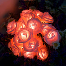 Load image into Gallery viewer, 2-Pack: 40 LEDs Rose Flower String Lights