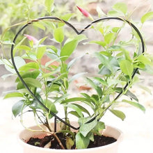Load image into Gallery viewer, 2-Pack: Heart-Shaped Plant Support Stake