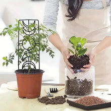 Load image into Gallery viewer, 2-Pack: Metal Plant Trellis for Climbing Plants Indoor