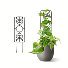 Load image into Gallery viewer, 2-Pack: Metal Plant Trellis for Climbing Plants Indoor