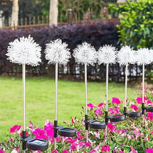 Load image into Gallery viewer, 2-Pack: Outdoor Solar Dandelion Lawn Lights