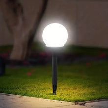 将图片加载到图库查看器,2-Pack: Solar LED Globe Powered Garden Light