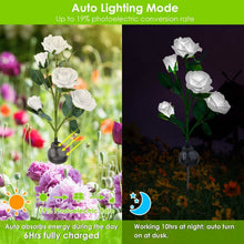 Load image into Gallery viewer, 2-Pack: Solar Powered Rose Flower LED Decorative Lamp