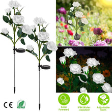 Load image into Gallery viewer, 2-Pack: Solar Powered Rose Flower LED Decorative Lamp