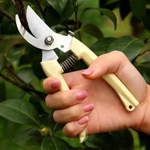 将图片加载到图库查看器,2-Pack: Stainless Steel Bypass Pruning Shears