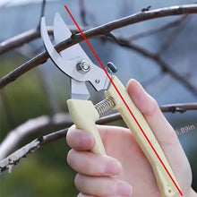 将图片加载到图库查看器,2-Pack: Stainless Steel Bypass Pruning Shears