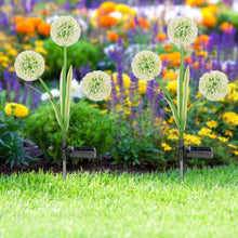Load image into Gallery viewer, 2-Piece: 36 LED Dandelion Solar Lights