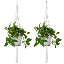 Load image into Gallery viewer, 2-Piece: Plant Hanger Flowerpot Net Bag