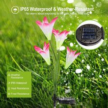 Load image into Gallery viewer, 2-Pieces: Solar Garden Lights Outdoor