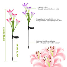 Load image into Gallery viewer, 2-Pieces: Solar Garden Lights Outdoor