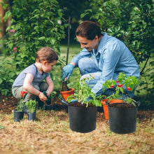 Load image into Gallery viewer, 3-Pack: Planter Bags Breathable Planting Fabric Pots with Harvest Window