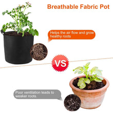 Load image into Gallery viewer, 3-Pack: Planter Bags Breathable Planting Fabric Pots with Harvest Window