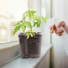 Load image into Gallery viewer, 30-Pieces: Plant Nursery Pots PET Flower Seed Starting Pots Container with Dome Drainage Holes