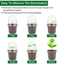 Load image into Gallery viewer, 30-Pieces: Plant Nursery Pots PET Flower Seed Starting Pots Container with Dome Drainage Holes