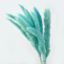 Load image into Gallery viewer, 30Pcs Dried Bulrush Flowers Bouquet Home Wedding Decoration Table Flores Preservadas Pampas Grass Natural Reed Decor for Room