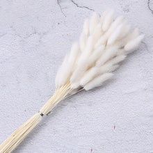 将图片加载到图库查看器,30pcs Natural Dried Pampas Grass Bouquet Pampas Grass Reeds Flowers Bulrush Bouquets Durable For for Vase Artificial Grass Room Décor Wedding Decorations