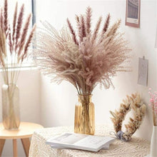 将图片加载到图库查看器,30pcs Natural Dried Pampas Grass Bouquet Pampas Grass Reeds Flowers Bulrush Bouquets Durable For for Vase Artificial Grass Room Décor Wedding Decorations