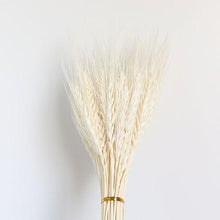 将图片加载到图库查看器,30pcs Natural Dried Pampas Grass Bouquet Pampas Grass Reeds Flowers Bulrush Bouquets Durable For for Vase Artificial Grass Room Décor Wedding Decorations