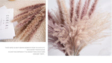 将图片加载到图库查看器,30pcs Natural Dried Pampas Grass Bouquet Pampas Grass Reeds Flowers Bulrush Bouquets Durable For for Vase Artificial Grass Room Décor Wedding Decorations