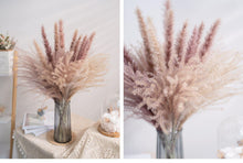 将图片加载到图库查看器,30pcs Natural Dried Pampas Grass Bouquet Pampas Grass Reeds Flowers Bulrush Bouquets Durable For for Vase Artificial Grass Room Décor Wedding Decorations
