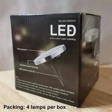 将图片加载到图库查看器,4-Pack: Waterproof Solar Garden Lights