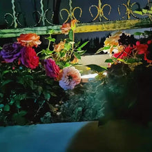 将图片加载到图库查看器,4-Pack: Waterproof Solar Garden Lights