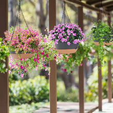 将图片加载到图库查看器,4-Piece: 9.64" Diameter Hanging Planter with Drainage Holes