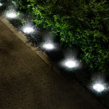 Load image into Gallery viewer, 4-Pieces: Solar Powered Ground Light