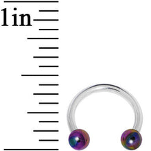 将图片加载到图库查看器,16G 5/16 Metallic Rainbow Horseshoe Circular Barbell