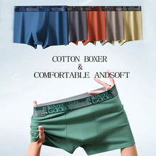 将图片加载到图库查看器,5-Pack: Plus Size Men's Boxer Briefs