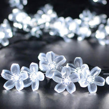 Load image into Gallery viewer, 50 LED Fairy Flower Blossom Solar String Lights