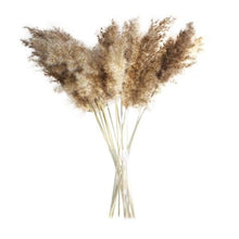 将图片加载到图库查看器,50Pcs/Bunch 50cm Natural Phragmites Reed Flowers Bulrush Bouquet Big Dried Pampas Grass Wedding Decoration Home Fall Decor