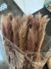 将图片加载到图库查看器,50Pcs/Bunch 50cm Natural Phragmites Reed Flowers Bulrush Bouquet Big Dried Pampas Grass Wedding Decoration Home Fall Decor