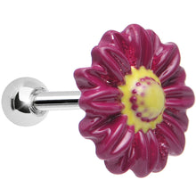 Load image into Gallery viewer, Dark Pink Cheerful Gerbera Daisy Flower Tragus Cartilage Earring