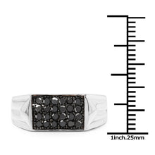 Load image into Gallery viewer, 0.42 Carat Genuine Black Diamond .925 Sterling Silver Ring