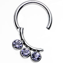 将图片加载到图库查看器,16G 5/16 Purple Gem Trio Hinged Segment Ring