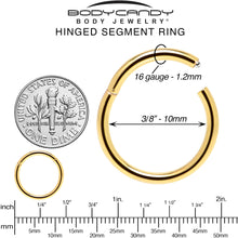Load image into Gallery viewer, 16G 3/8 Gold Tone Anodized Hinged Segment Ring