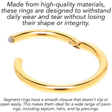 Load image into Gallery viewer, 16G 3/8 Gold Tone Anodized Hinged Segment Ring