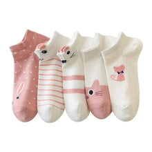 Load image into Gallery viewer, 5-Pairs: Pink Kitty Crew Socks