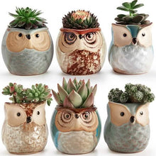 Load image into Gallery viewer, 6-Pack: 2.5 Inch Owl Pot Ceramic Base
