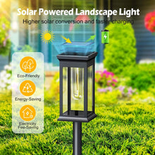 将图片加载到图库查看器,6-Pack: Solar Powered Stake Light IP65 Waterproof Auto On Off