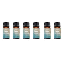 Load image into Gallery viewer, 6-Pack: Summer Vibe Fresh Scented Aromatherapy Essential Oil For Diffusers Humidifiers